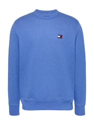 Tommy Jeans Sweatshirt TJM REG BADGE CREW EXT Hellblau/Blau