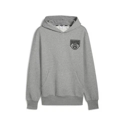 PUMA Hoodie Posterize Basketball Herren Grau/Hellgrau/Dunkelgrau/Silber