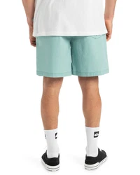 Quiksilver Bermudas Taxer Grün/Türkis