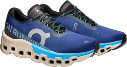 ON Herren Laufschuh Cloudmonster 2 Laufschuh