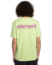 Element T-Shirt Simple Logo Neonfarben/Hellgrün/Gelb/Grün