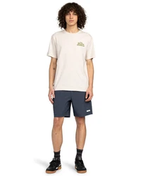 Element T-Shirt Timber Carry Khaki/Beige