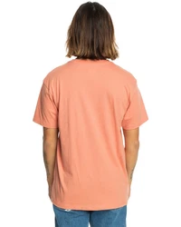 Quiksilver T-Shirt Floating Around Rosa/Rot/Orange