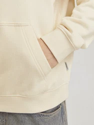 Jack & Jones Sweatshirt Hoodie Porto Khaki/Beige/Grün/Rosa