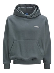 JACK & JONES Sweatshirt JORISLINGTON 