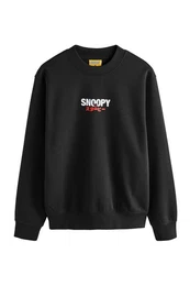 Sweater Offizielles Snoopy Sweatshirt, Rundhalsausschnitt (1-tlg)