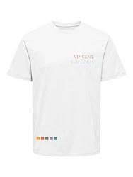 ONLY & SONS T-Shirt Grau/Weiß/Mischfarben