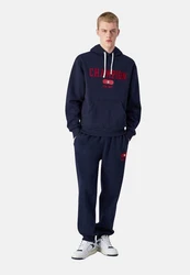 Champion Authentic Athletic Apparel Kapuzensweatshirt Dunkelrot/Dunkelblau/Rot/Hellblau/Blau