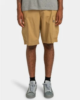Element Cargoshorts Legion