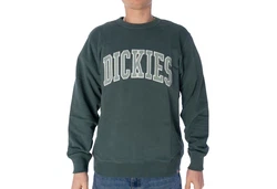 Dickies Sweatshirt Aitkin Dunkelgrün/Grün