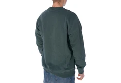 Dickies Sweatshirt Aitkin Dunkelgrün/Grün