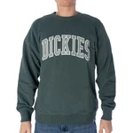 Dickies Sweatshirt Aitkin Dunkelgrün/Grün