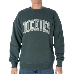 Dickies Sweatshirt Aitkin Dunkelgrün/Grün