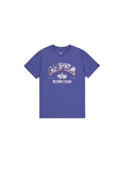 Alpha Industries T-Shirt College Camo T Camo
