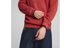 PUMA Hoodie Wardrobe Essentials Graphic Hoodie Herren Rot/Dunkelrot