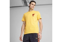 PUMA T-Shirt ROAD TO UNITY Graphic T-Shirt Herren Gelb/Gold