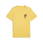 PUMA T-Shirt ROAD TO UNITY Graphic T-Shirt Herren Gelb/Gold
