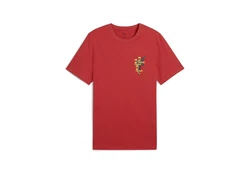 PUMA T-Shirt ROAD TO UNITY Graphic T-Shirt Herren Rot/Bordeaux/Dunkelrot