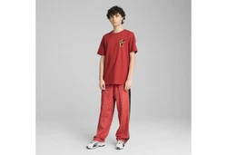 PUMA T-Shirt ROAD TO UNITY Graphic T-Shirt Herren Rot/Bordeaux/Dunkelrot