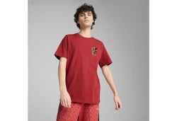 PUMA T-Shirt ROAD TO UNITY Graphic T-Shirt Herren Rot/Bordeaux/Dunkelrot