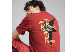 PUMA T-Shirt ROAD TO UNITY Graphic T-Shirt Herren Rot/Bordeaux/Dunkelrot