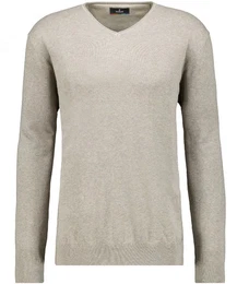 V-Ausschnitt-Pullover