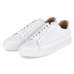 Low Sneaker Sneaker