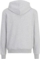 Fila Kapuzenpullover Landen Regular Hoodie Grau/Silber/Hellblau