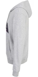 Fila Kapuzenpullover Landen Regular Hoodie Grau/Silber/Hellblau