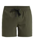 Quiksilver Boardshorts Everyday Flex Khaki/Dunkelgrün