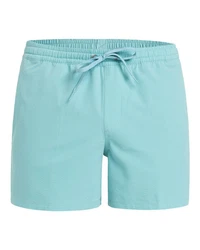 Quiksilver Boardshorts Everyday Flex 