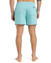 Quiksilver Boardshorts Everyday Flex 
