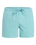 Quiksilver Boardshorts Everyday Flex 