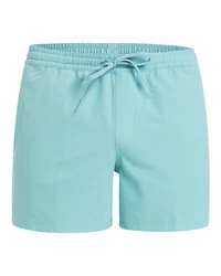 Quiksilver Boardshorts Everyday Flex 