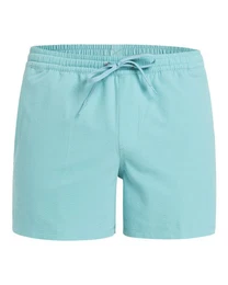 Boardshorts Everyday Flex 15