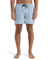 Quiksilver Boardshorts Everyday Flex 