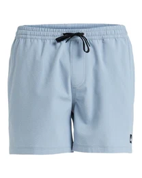 Boardshorts Everyday Flex 15