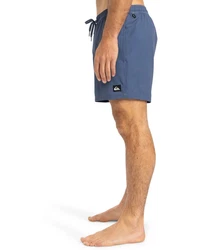 Quiksilver Boardshorts Everyday Flex 