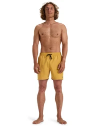 Billabong Boardshorts All Day Layback Beige/Gelb/Braun/Khaki