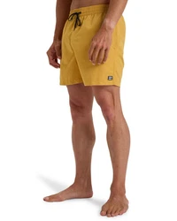 Billabong Boardshorts All Day Layback Beige/Gelb/Braun/Khaki
