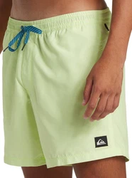 Quiksilver Boardshorts Everyday Solid Volley Grün/Khaki