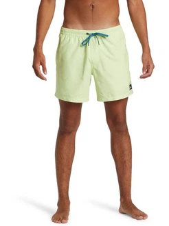 Quiksilver Boardshorts Everyday Solid Volley Grün/Khaki
