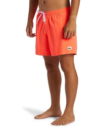 Quiksilver Boardshorts Everyday Solid Volley 