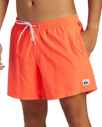Quiksilver Boardshorts Everyday Solid Volley 