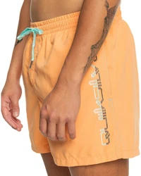 Quiksilver Boardshorts Behind Waves Orange/Gelb/Beige
