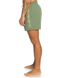Quiksilver Boardshorts Behind Waves Dunkelgrün/Khaki/Grün