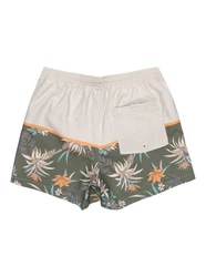 Quiksilver Boardshorts Life On The Reef 