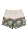 Quiksilver Boardshorts Life On The Reef 