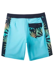 Quiksilver Boardshorts Surfsilk Arch  
