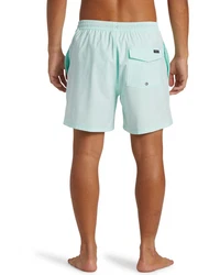 Quiksilver Boardshorts Surfsilk Solid Volley Grün/Hellblau